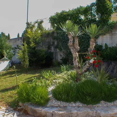 Finka Terzic Appartamento *